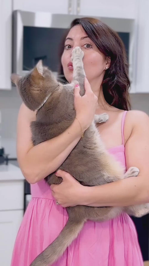 woman and cat talking about coffee